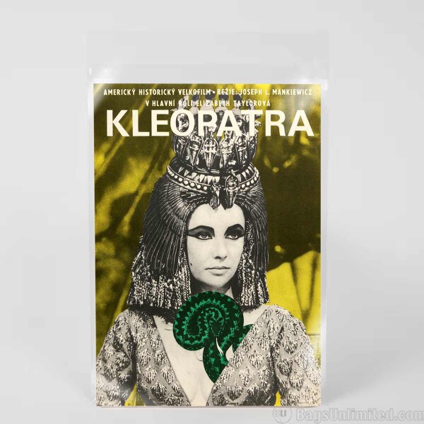 Early Magazine Resealable Sleeve